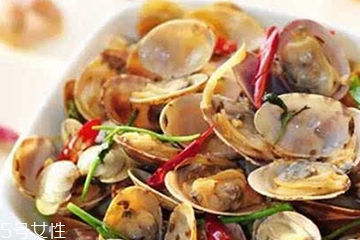 文蛤的價格 文蛤多少錢一斤？