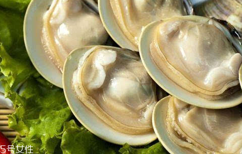文蛤的養(yǎng)殖 文蛤怎么養(yǎng)？