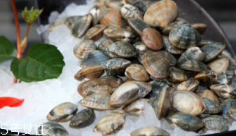 文蛤的選購技法 文蛤怎么挑選？