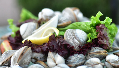 文蛤怎么做最好吃？文蛤怎么做最香？