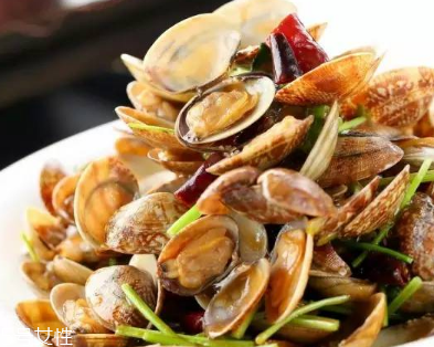 文蛤是堿性的嗎？文蛤是酸性的嗎？