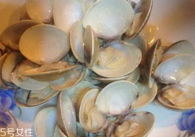 文蛤是寒性還是熱性？文蛤是寒性的嗎？