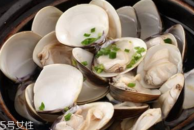 文蛤和蛤蜊是一樣的嗎？