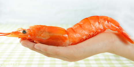 阿根廷紅蝦是海蝦嗎？阿根廷紅蝦是海里的嗎？
