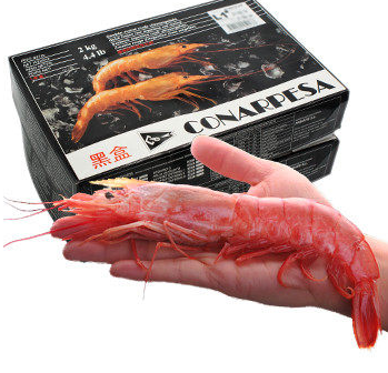 阿根廷紅蝦能白灼嗎？白灼阿根廷紅蝦好吃嗎？