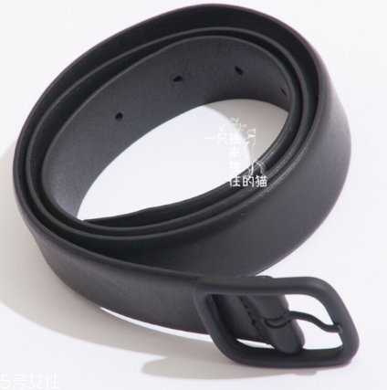 皮帶上的環(huán)叫什么名字？皮帶上的環(huán)在哪買？