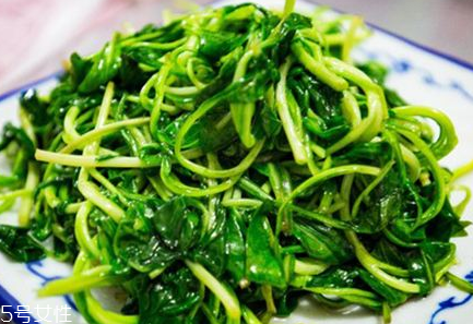 馬蘭頭是什么？什么是馬蘭頭？