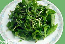 馬蘭頭對(duì)人的好處？馬蘭頭有什么好處？