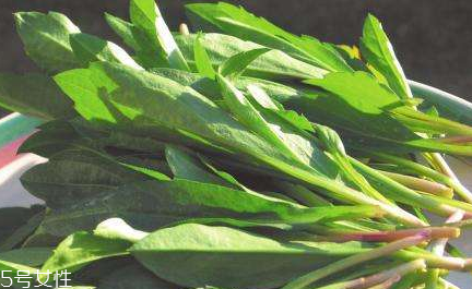 馬蘭頭怎么清洗？怎么洗馬蘭頭？