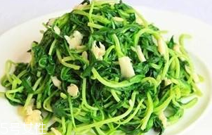 馬蘭頭能給孕婦吃嗎？孕婦能吃馬蘭頭嗎？