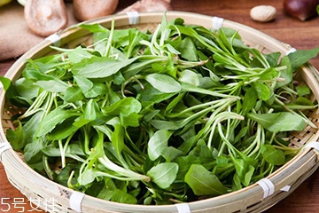 馬蘭頭可以煮魚(yú)湯嗎？馬蘭頭怎么煮魚(yú)湯