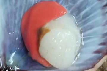 扇貝肉哪里不能吃？扇貝的月牙紅可以吃嗎？