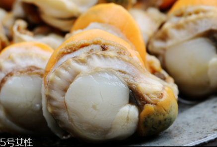 扇貝肉要煮多長(zhǎng)時(shí)間？扇貝肉要煮幾分鐘？