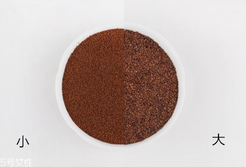 海藻面膜放什么最好？海藻面膜可以放什么？