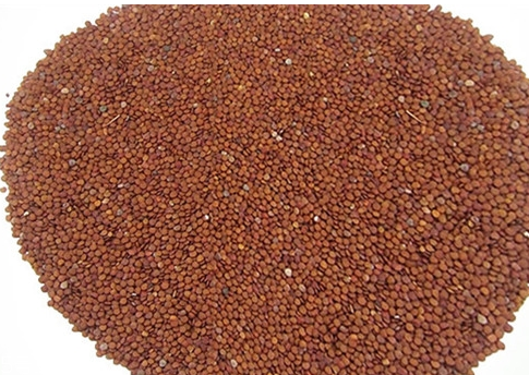 海藻面膜能祛痘印嗎？海藻面膜加什么去痘？