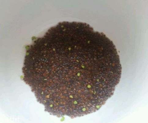 海藻面膜能祛痘印嗎？海藻面膜加什么去痘？