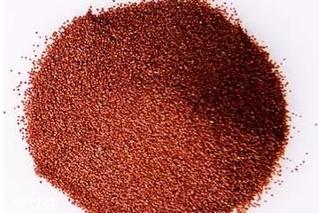 海藻面膜是什么種子？海藻面膜到底是什么？