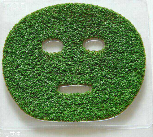 海藻面膜是什么種子？海藻面膜到底是什么？