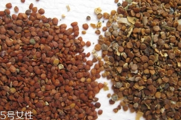 海藻面膜是清潔面膜嗎？海藻屬于清潔性面膜嗎？