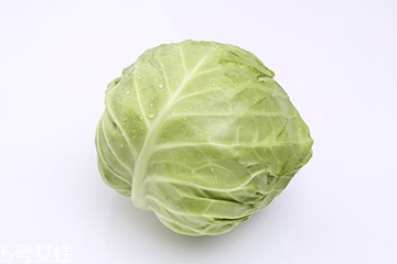 牛心菜是包菜嗎？牛心菜和包菜的區(qū)別