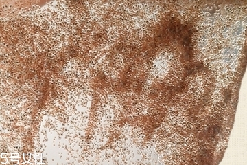 海藻面膜會(huì)發(fā)芽嗎？真的海藻面膜會(huì)發(fā)芽嗎？