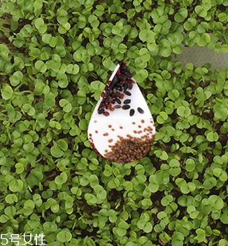海藻面膜會過期嗎？海藻面膜有保質(zhì)期嗎？