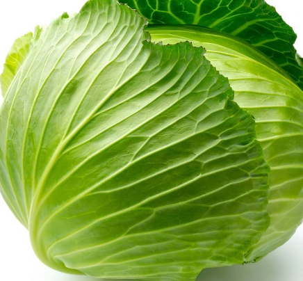 牛心菜能多吃嗎？牛心菜吃多了會(huì)怎樣？