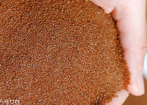 海藻面膜能加蜂蜜嗎？蜂蜜和海藻做面膜好嗎？