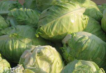 牛心菜的營養(yǎng)成分 牛心菜的營養(yǎng)成分是什么？