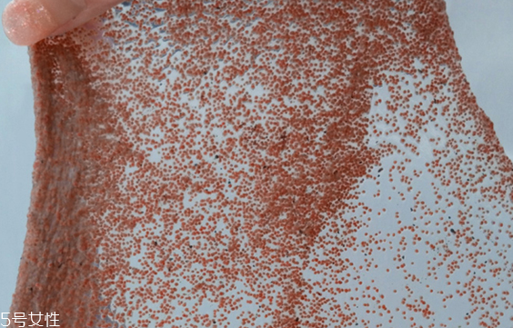 海藻面膜能去黑頭嗎？海藻面膜有去黑頭功效嗎？