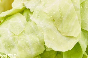 牛心菜是寒性還是熱性？牛心菜是寒性的嗎？