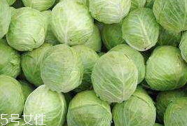 牛心菜和紫甘藍(lán)的區(qū)別 牛心菜和紫甘藍(lán)怎么分辨？