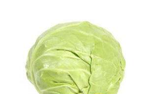 牛心菜怎么種植？牛心菜能種嗎？