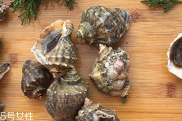 海螺會中毒嗎？吃海螺中毒多久會緩解？