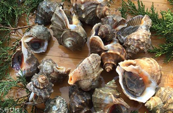 海螺會(huì)中毒嗎？吃海螺中毒多久會(huì)緩解？