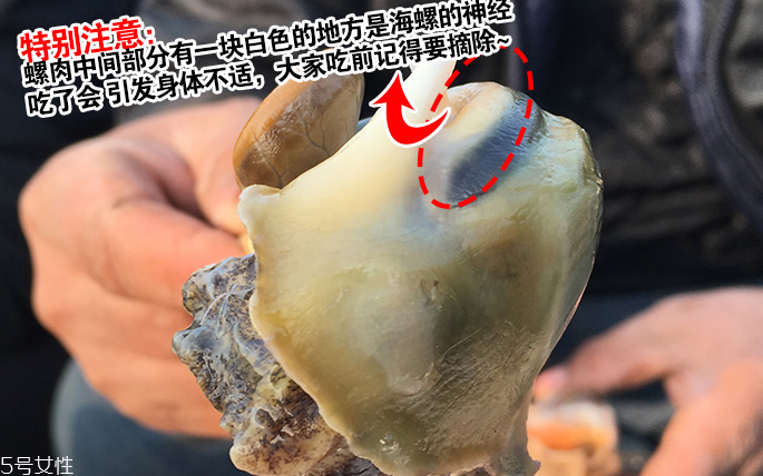 海螺會(huì)中毒嗎？吃海螺中毒多久會(huì)緩解？