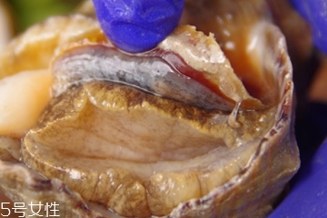 海螺可以隔夜吃嗎？海螺煮熟隔夜能吃嗎？
