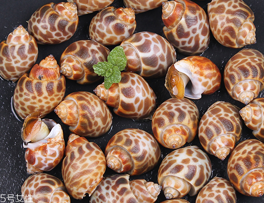 海螺可以隔夜吃嗎？海螺煮熟隔夜能吃嗎？