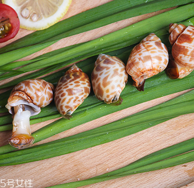 海螺能和西瓜一起吃嗎？海螺和西瓜能同食嗎？