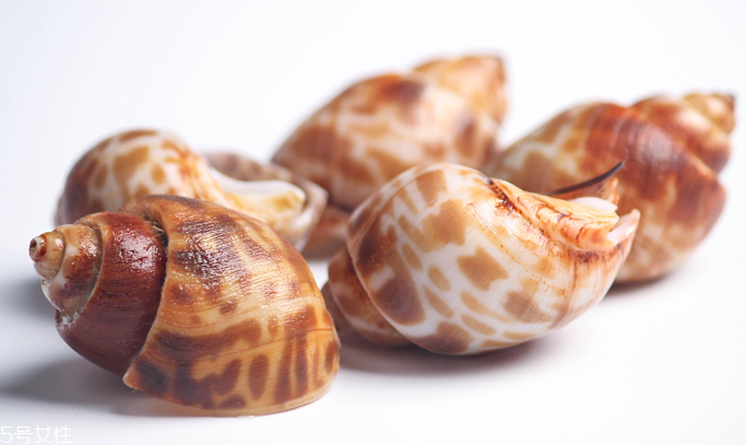 海螺能和西瓜一起吃嗎？海螺和西瓜能同食嗎？