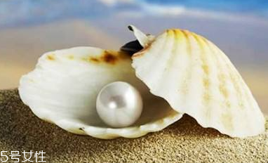 珍珠粉面膜能能去皺嗎？珍珠粉面膜加什么能去皺？