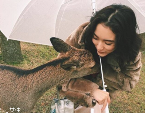 瘦臉針多久見效呢 瘦臉針幾天出現效果