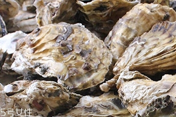 生蠔肉怎么做好吃？生蠔肉做法推薦