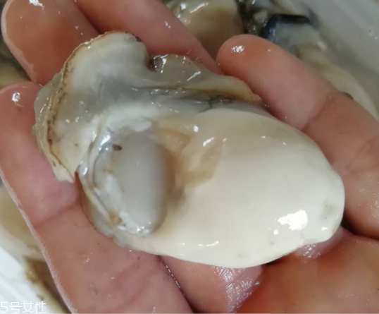 生蠔肉都能吃嗎？生蠔肉有不能吃的地方嗎？