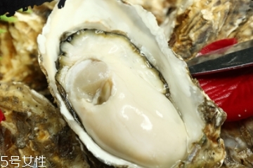 生蠔是蒸還是煮？生蠔蒸好吃還是煮好吃？