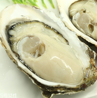 生蠔是蒸還是煮？生蠔蒸好吃還是煮好吃？