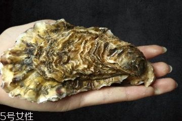 生蠔有內(nèi)臟嗎？生蠔的內(nèi)臟能吃嗎？