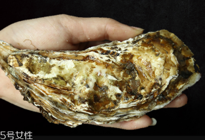 生蠔有內(nèi)臟嗎？生蠔的內(nèi)臟能吃嗎？