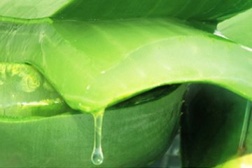 蘆薈水哪個牌子好？蘆薈爽膚水品牌推薦