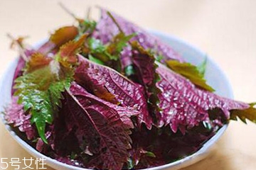 紫蘇葉和蘇子葉的關系 紫蘇葉與蘇子葉是一樣的嗎？